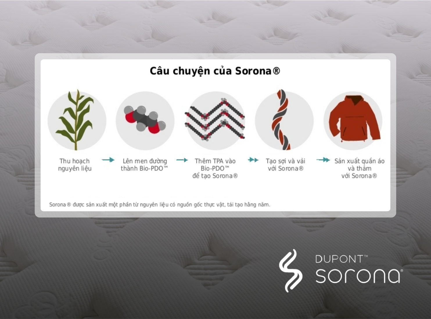Chiro - Retreat