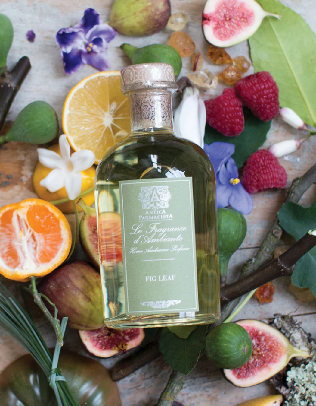 Fig Leaf scent mood