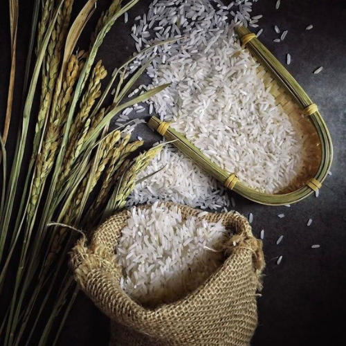 Rice