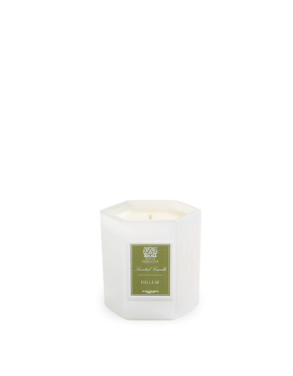 Antica Farmacista Fig Leaf 9oz Hexagonal Candle