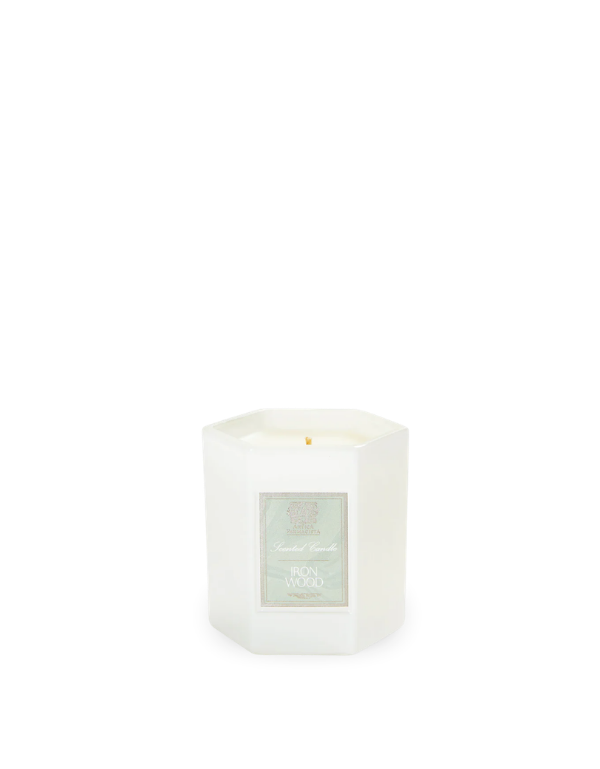 Antica Farmacista Iron Wood 9oz Hexagonal Candle