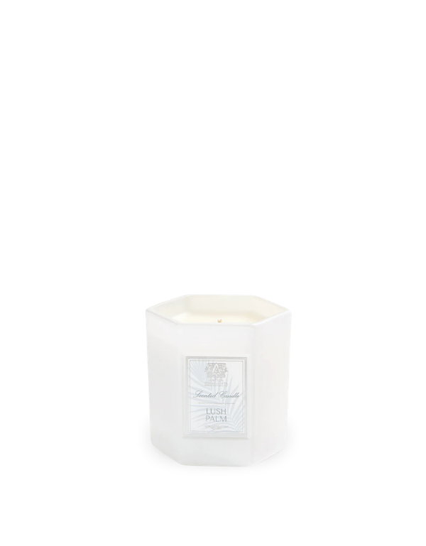 Antica Farmacista Lush Palm 9oz Hexagonal Candle