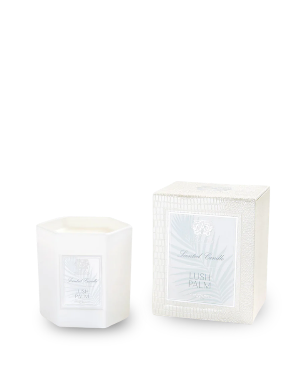 Antica Farmacista Lush Palm candle packaging